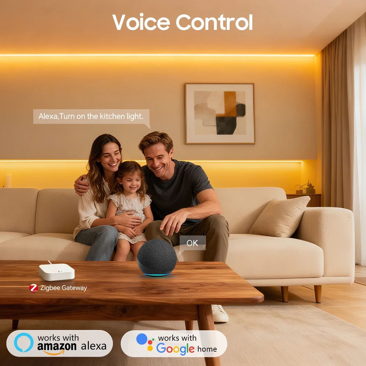 Zigbee 3.0 24V 네온 LED 스트립 라이트  - Zigbee Coordinator Stick 리뷰 및 가격